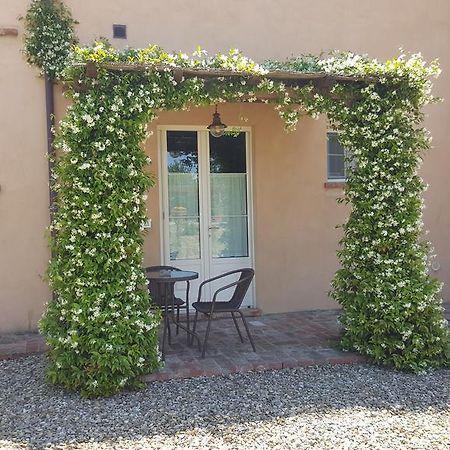 Podere Le Spighe Castroncello Bagian luar foto